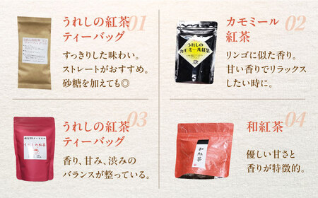 うれしの紅茶 生産者別 8袋 セット【うれしの紅茶振興協議会】[NAP002] 紅茶 茶 お茶 佐賀 嬉野産紅茶 うれしの紅茶 紅茶 和紅茶 紅茶飲み比べ 和紅茶飲み比べ 紅茶ティーバック 紅茶セット