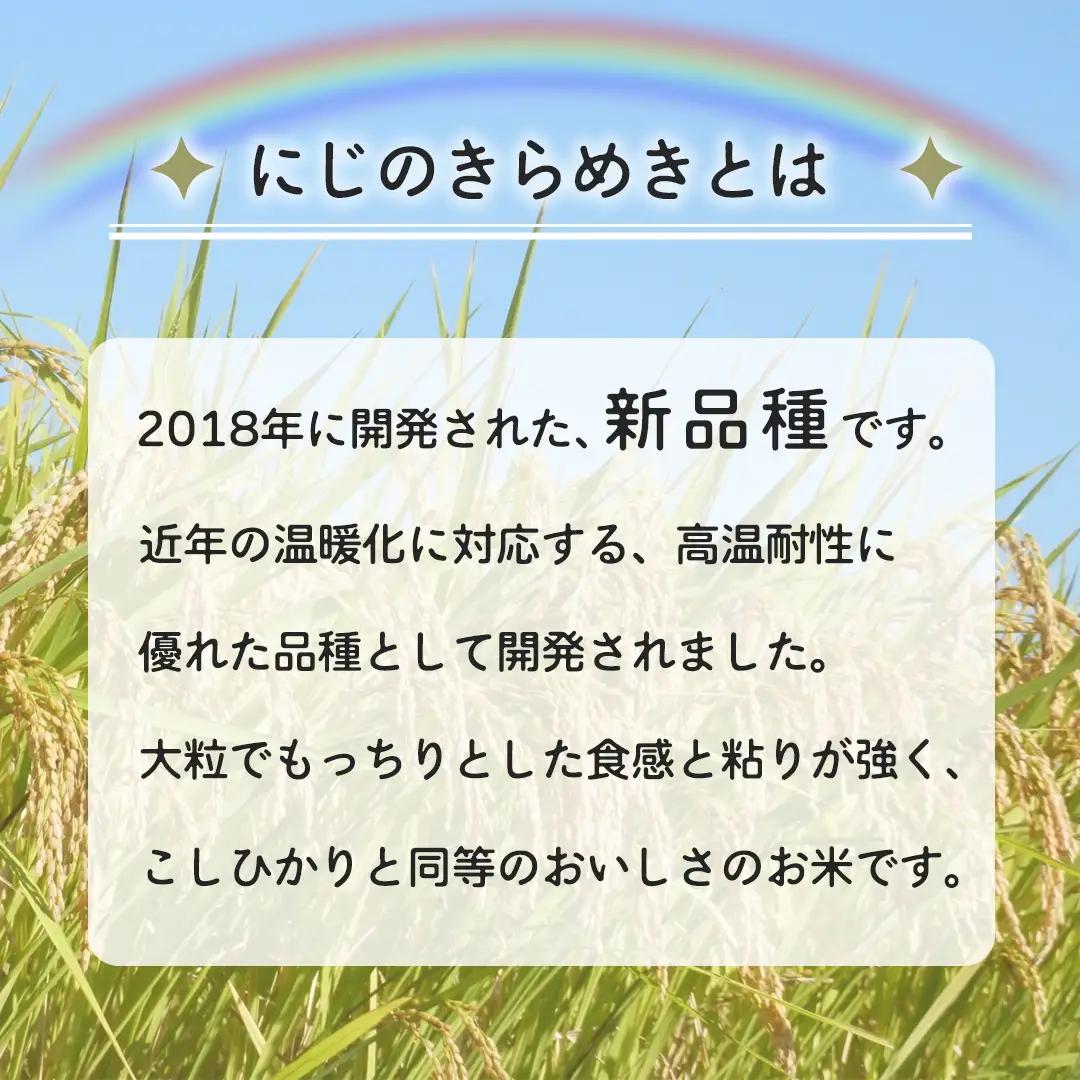 令和8年産 にじのきらめき 15kg ( 5kg × 3袋 ) お米 ごはん 精米 コメ 白米 国産 茨城県 桜川市 銘柄米 [AX017sa]