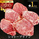 【ふるさと納税】 大和牛 シャトーブリアン200g×5枚 ステーキ 牛肉 シャトーブリアン 赤身 和牛 ステーキ肉 ステーキ 希少部位 希少部位 牛肉ステーキ 人気 おすすめ 和牛ヒレステーキ 厚切り 鉄板焼き 極厚シャトーブリアン 奈良県 奈良市 E-36