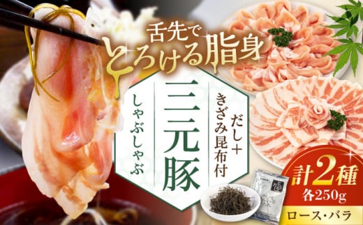 三元豚 しゃぶしゃぶセット 計500g（ロース・バラ） だし・昆布付き 《喜茂別町》【平田牧場】 肉 豚肉 ロース バラ ロース肉 バラ肉 しゃぶしゃぶ 鍋 お鍋 冷凍配送 北海道 [AJAP001] 11000 11000円