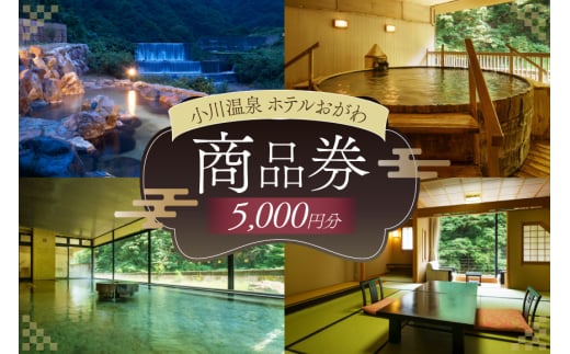商品券 小川温泉 ホテルおがわ 1000円 5枚 計 5000円 [小川温泉開発 富山県 朝日町 34310496] 入浴券 宿泊 食事 旅行 温泉