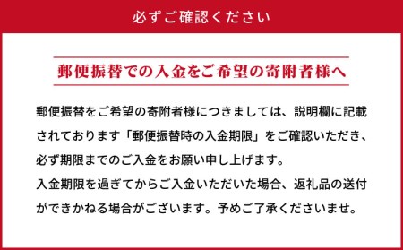 《津本式》西米良サーモン１尾 ～津本光弘本人仕立て～
