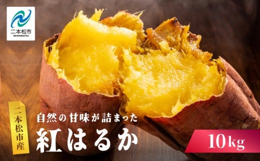 自然の甘みがぎゅっと詰まった さつまいも  紅はるか 10kg 焼き芋 スイーツ 冷凍 やきいも 野菜 サツマイモ 農家直送 新鮮 いも イモ おすすめ お中元 お歳暮 ギフト 二本松市 ふくしま 福島県 送料無料【株式会社橋本】