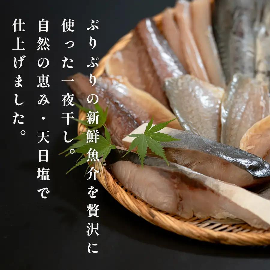 一夜干しセット 12枚-15枚 天日塩 無添加 干物 詰め合わせ 冷凍便  海鮮セット 焼くだけ簡単