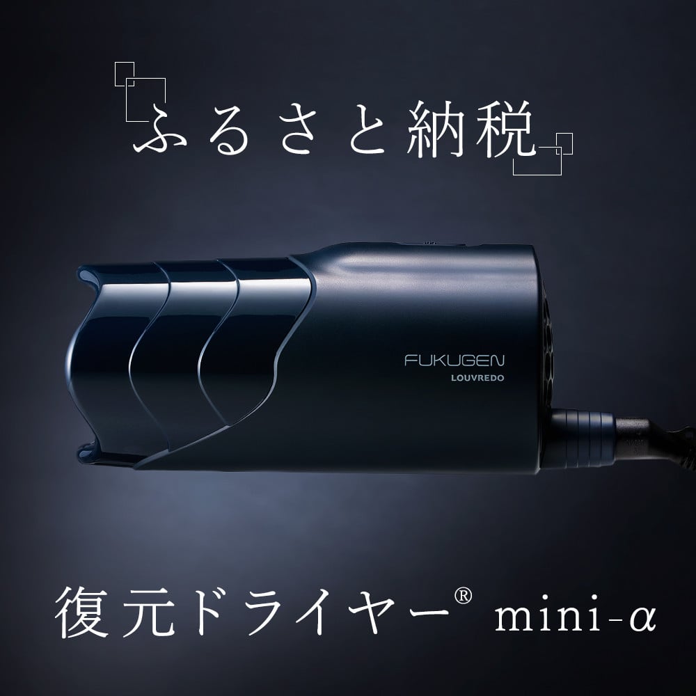 
            復元ドライヤー mini α | ドライヤー サロン ヘアケア 家電 電化製品 どらいやー 髪 製品 日用品 本体 コンパクト 軽い 風呂 洗面台 適温 適湿 振動気化方式 長野県 松本市 ふるさと納税
          