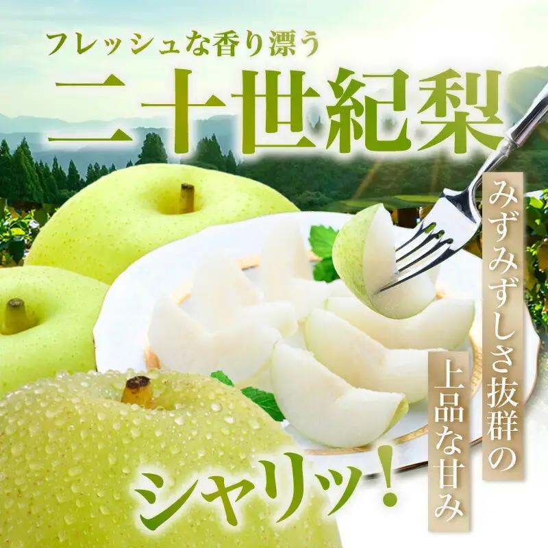 【先行予約】2026年度産 梨 二十世紀梨 ご自宅用 優品（Bランク）5kg L～5Lサイズ混合 【令和8年8月下旬以降発送予定】 20世紀梨 フルーツ 果物  12-20
