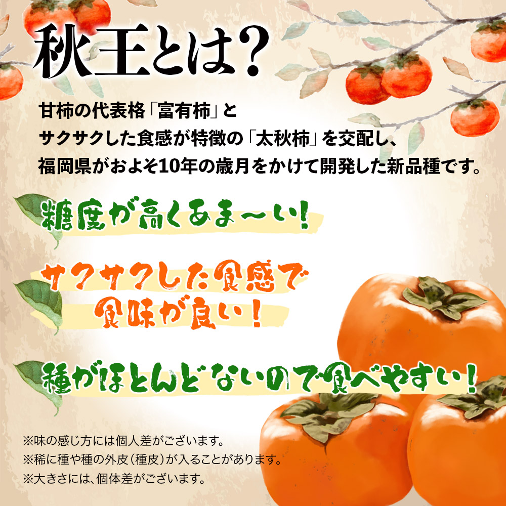 秋の贅沢、濃厚であま～い柿の新ブランド「秋王」約3.5kg（11～14玉）＜配送不可：北海道・沖縄・離島＞ 柿 フルーツ 秋の味覚 濃厚 サクサク 大玉