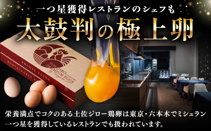 土佐ジロー鶏卵 40個 （10個×4パック）/ 高知 土佐 土佐ジロー 卵 たまご 玉子 鶏卵 卵焼き たまご焼き 玉子焼き 目玉焼き 生卵 卵かけご飯 TKG ギフト 贈り物 【とさやま養鶏場】 [