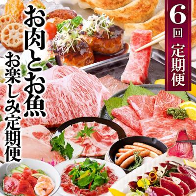 ふるさと納税 枕崎市 お肉とお魚　お楽しみ定期便　6回配送JJ10-0002