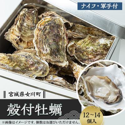 ふるさと納税 女川町 潮香焼セット(殻付き牡蠣・カンカン焼き)ナイフ・軍手入り