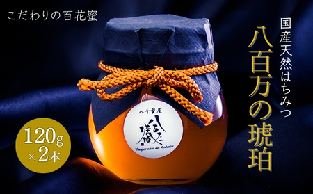 はちみつ 八百万の琥珀 国産天然 百花蜜 はちみつ【計240g(120g×2本)】