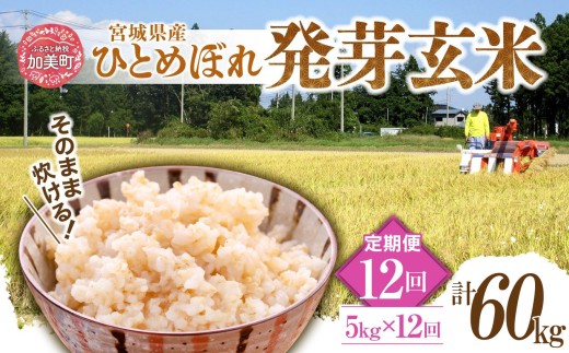 【12回定期便】 簡単に炊ける 宮城県産 ひとめぼれ 発芽玄米 5kg 計60kg(5kg×12回) [菅原商店 宮城県 加美町] 米 こめ コメ 玄米 発芽玄米 ご飯 | sg-hb05-hg-t12 |sg-hb-t