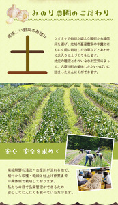 ニンニク バラ売り ご家庭用 乾燥にんにく にんにく 乾燥ニンニク / みのり農園の乾燥にんにく【訳あり】3kg【mnr104】