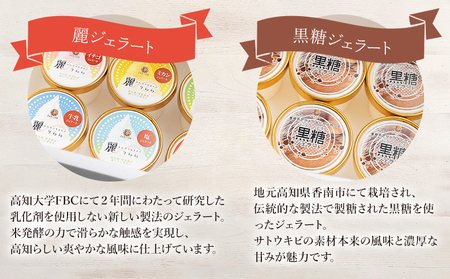 麗ジェラートと黒糖ジェラート 6個セット お菓子 スイーツ アイス dc-0071