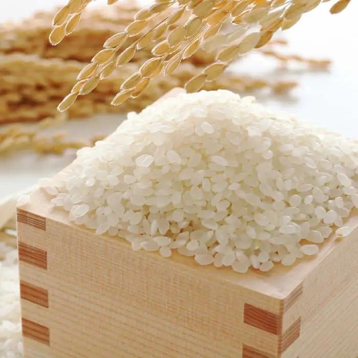 福岡産ブランド 米 夢つくし 5kg 桂川町/南国フルーツ株式会社 [ADBW028] 米 白米 5kg お米 