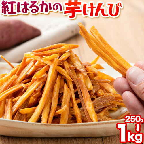 【ふるさと納税】カリッカリ 紅はるかの芋けんぴ 250g 500g 750g 1kg 1袋250g 熊本県大津町産 無添加《30日以内に出荷予定(土日祝を除く)》薩摩芋 さつまいも サツマイモ イモケンピ 保存料・着色料 不使用 小分け