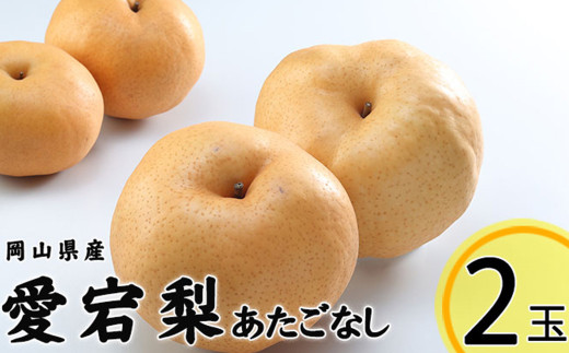 あたご梨 2玉 約1.8kg 【2026年11月下旬～12月下旬迄発送予定】 愛宕梨 梨 なし 和梨 果物 果実 フルーツ 大玉 岡山県 美咲町 常温