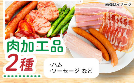 糸島産 肉 米 野菜 果物 厳選詰め合わせ MINORI BOX Mサイズ 糸島市 / emma.Inc / 米 肉 野菜 果物 詰め合わせ[AOP011]