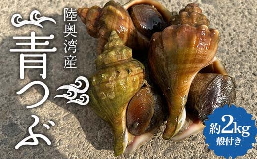 
            陸奥湾産 青つぶ 殻付き 2kg詰め 【飛佳丸】 活 青つぶ貝 ツブ つぶ つぶ貝 お刺身 つぶ刺し 刺身 焼きつぶ おつまみ 高級食材 魚介 海鮮 青森県 平内町 東北 むつ湾 F21J-264
          