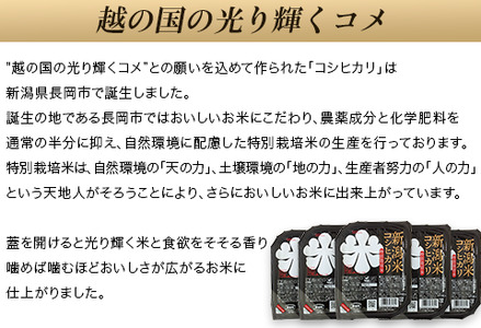75-PG48E新潟県長岡産コシヒカリ パックご飯150g×48個（特別栽培米）