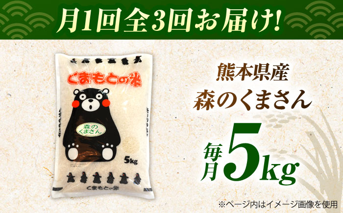〈令和7年度産米〉【3回定期便】熊本県産 森のくまさん 白米 5kg 米 お米 ご飯 こめ【有限会社 あそしな米穀】 [ZBI036]