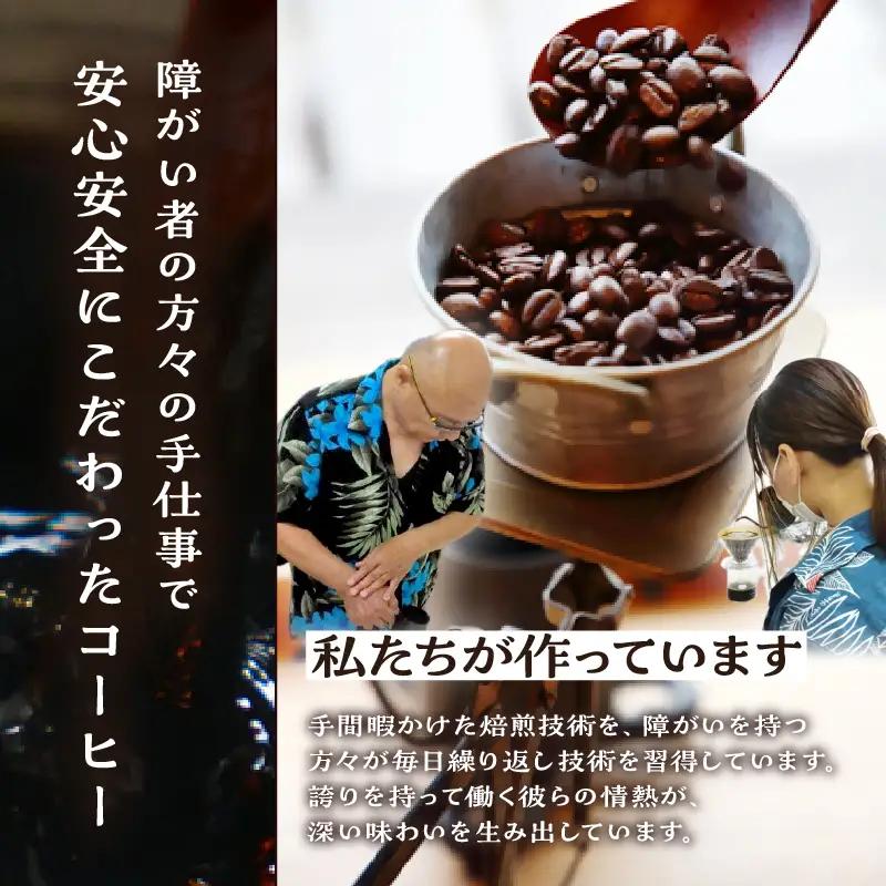 ツインスターシード極楽コーヒー粉_B135-009