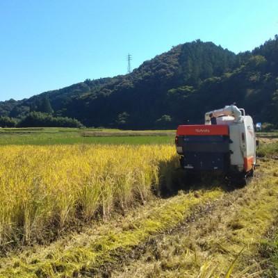 ふるさと納税 大子町 立神米はいごころ【大子町産・玄米・15kg】 |  | 01