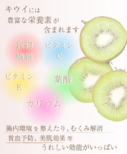 ＜2024年11月より発送＞厳選 キウイフルーツ1kg+30g（傷み補償分） ※北海道・沖縄・離島配送不可/ 和歌山 フルーツ 果物 くだもの 旬 キウイフルーツ キウイ【ikd700】