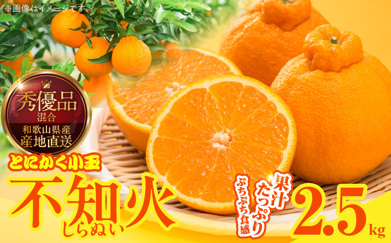 
                  MK1018_不知火 (しらぬい) とにかく小玉 箱込 2.5kg (内容量約2.3kg) 秀品 優品 混合 和歌山県産 産地直送 
                