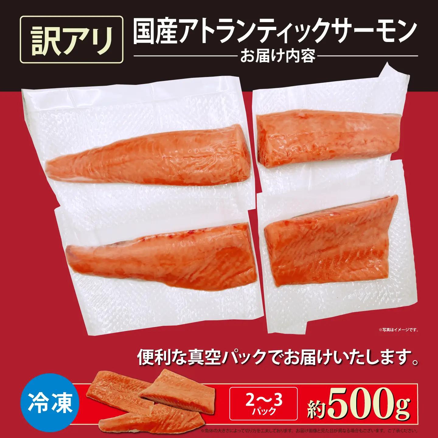 サーモン 訳あり 冷凍 2～3P 約500g 国産サーモン