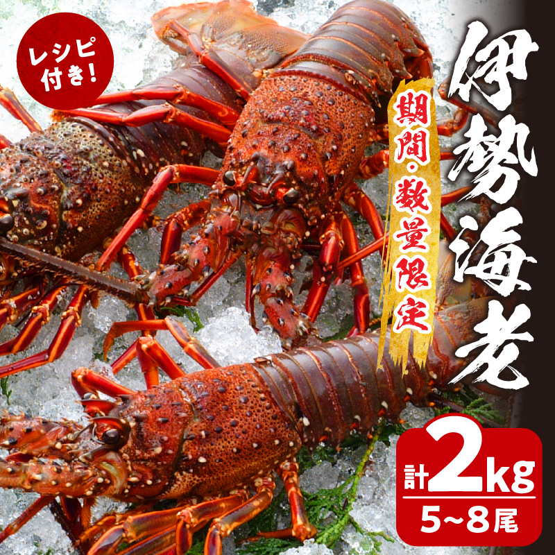 先行予約≪数量限定≫伊勢海老(計2kg)_T013-0025【えび 魚介 海鮮 国産 人気 ギフト おかず おつまみ 食品 海鮮 BBQ 贈り物 送料無料 プレゼント】