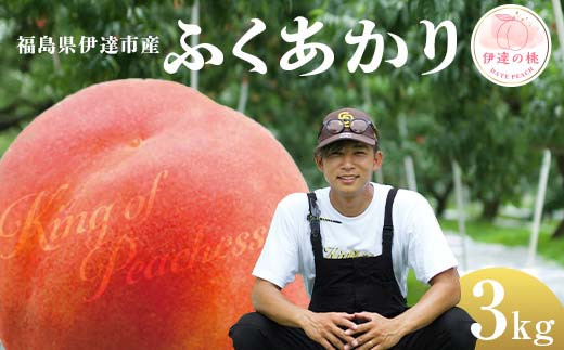 
            キングオブピーチ 桃 「ふくあかり」約3kg（8～12玉）ふくあかり 伊達の桃 桃 もも モモ 果物 くだもの フルーツ 国産 食品 F21C-136
          