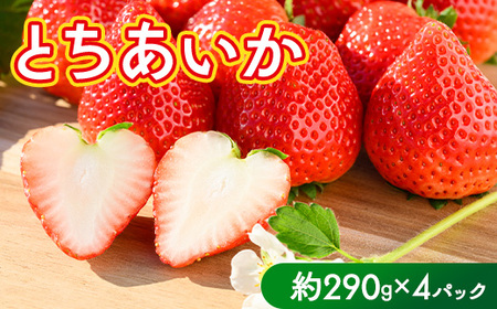 いちご（とちあいか） 290g×4パック 1.16kg以上｜先行予約 数量限定 栃木県 果物 くだもの フルーツ 苺 イチゴ ※2025年11月下旬～2026年3月下旬頃に順次発送予定