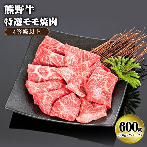 【ふるさと納税】「熊野牛」特選モモ焼肉600g 4等級以上 株式会社松源《30日以内に出荷予定(土日祝除く)》和歌山県 岩出市