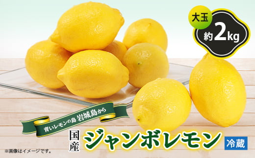 ＜6月出荷＞青いレモンの島　ジャンボレモン2kg(冷蔵)【1113730】