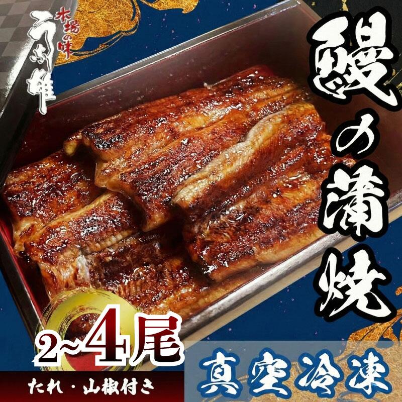 【ふるさと納税】 【選べる容量】 冷凍 国産 うなぎ 2~4尾 蒲焼 タレ 付き 山椒 付き 贈答用 のし対応 指定日可 ウナギ 鰻 蒲焼き 自家製 たれ うな雄の鰻 蒲焼 うなぎ ウナギ 土用の丑の日 土用 丑の日 国産 厳選 こだわり うな重 国産うなぎ ひつまぶし 牧之原市 静岡県