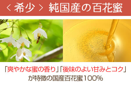 【1079-5】幸せのはちみつ梅干(紀州南高梅)700ｇA級 大粒 3L以上 和歌山県産 うめぼし 梅干し 梅 700ｇ 送料無料 ふるさと納税 梅干し はちみつ