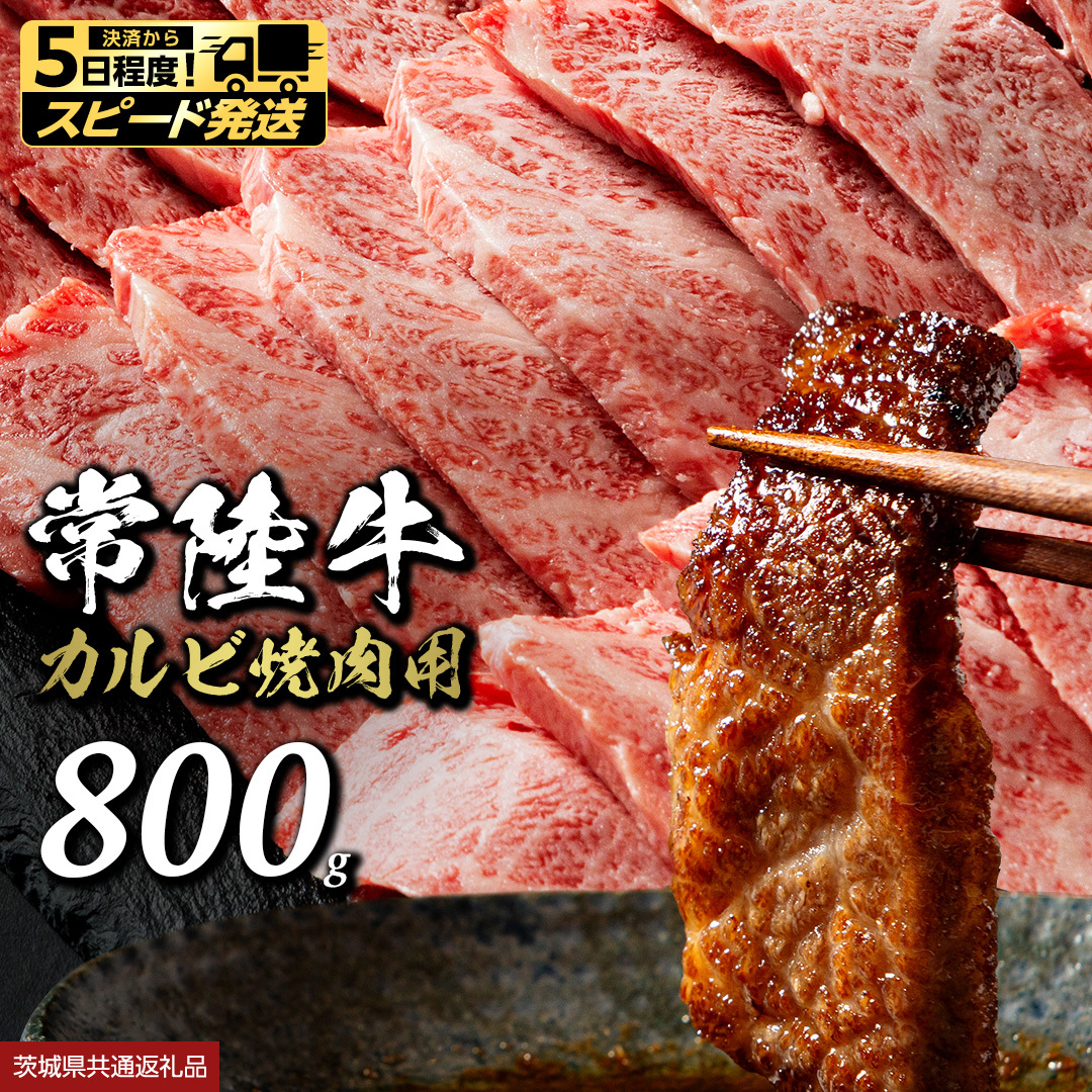 【 スピード 発送 】 常陸牛 焼肉 カルビ 800g (茨城県共通返礼品) 牛肉 牛 肉 焼き肉 焼肉用 黒毛和牛 和牛 霜降り お肉 国産 国産牛 ブランド牛 A4 A5 冷凍 バーベキュー BB