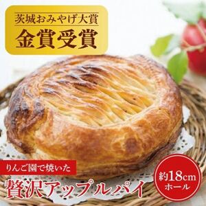りんご園で焼いた ぜいたくアップルパイ 1ホール【配送不可地域：離島・沖縄県】【1605392】