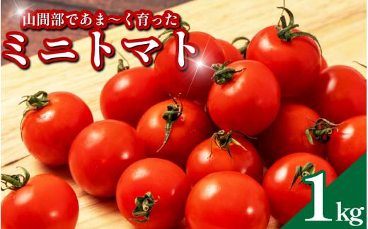 【先行予約 出荷2026年6月～】 甘い ミニトマト 1kg 産地直送 旬 トマト リコピン ビタミンC 野菜 美容 栄養 おいしい お弁当 夕飯 サラダ おかず 森下農園  徳島 三好 みよし