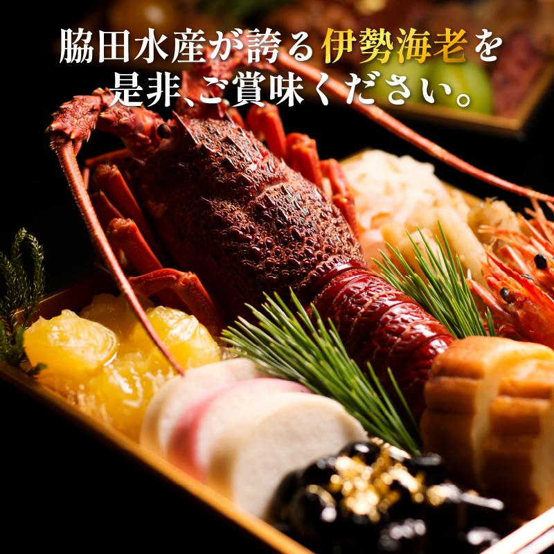 伊勢海老 200g 3尾 えび エビ 高級 伊勢 伊勢えび 鮮魚 海鮮 魚介 刺身 焼き物 汁物 イセエビ 海老 正月 おせち ギフト 贈答 贈り物 祝い 歳暮 中元 年末 年始 ebi 徳島 阿南 【年末年始 発送対応可能です！】