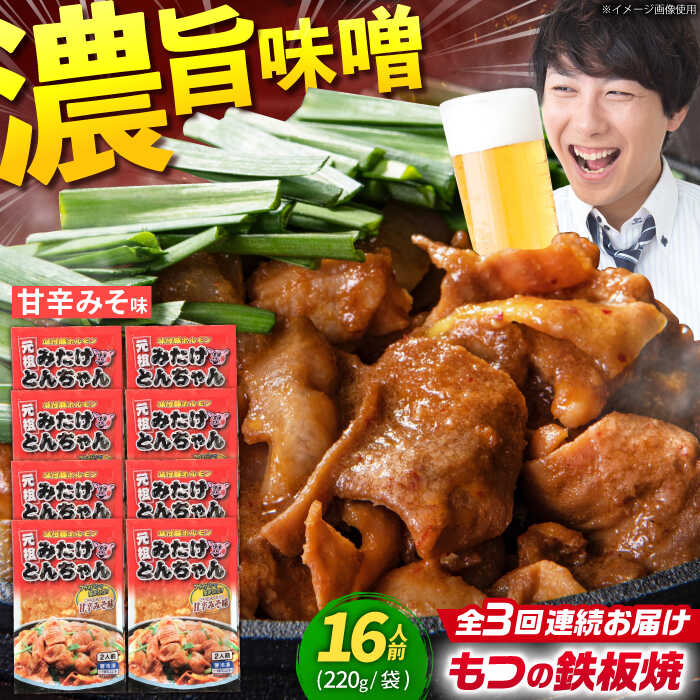 【ふるさと納税】【3回定期便】 岐阜県産豚もつの鉄板焼き「元祖みたけとんちゃん」甘辛みそ味（16人前） / モツ もつ 白もつ ホルモン / 御嵩町 / 藤よし[AVAA073]