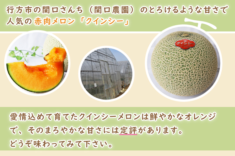 【2026年5月より順次発送】イバラキングメロン＆クインシーメロン（各1玉／計2玉）｜メロン クインシーメロン イバラキングメロン フルーツ 果物 くだもの セット 先行予約 茨城県 行方市(BW-2