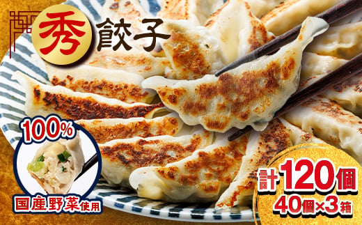 秀餃子 3箱【1622598】