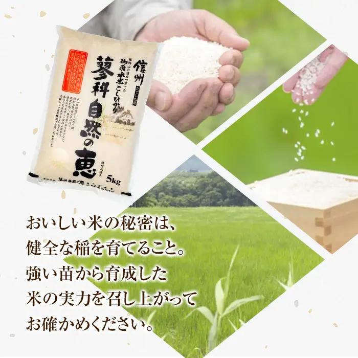 【令和8年産米】 信州たてしな産 蓼科自然の恵 (白米) 10kg