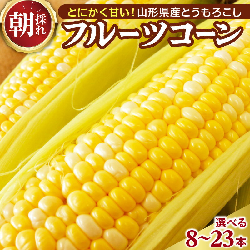 【ふるさと納税】【令和8年産】 とにかく甘い 朝採れ とうもろこし 「 フルーツ コーン 」 ( 選べる内容量 8本 13本 23本 )| 冷蔵便 クール便 トウモロコシ とうきび 野菜 ベジタブル お取り寄せ 山形県 河北町【かほくらし社】
