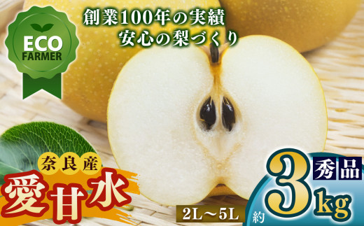 A11 【先行予約】 南陽園の愛甘水梨 おみやげ桜箱（約3kg) 2L～5L 【秀品】 | ≪数量限定≫ 梨園直送！ 期間限定 果物 くだもの フルーツ 農家直送 梨 ナシ なし シャキシャキ もぎたて 旬 お取り寄せ 愛甘水梨 奈良県 大淀町 ※8月上旬より順次発送予定
