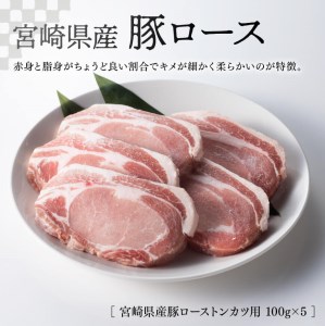 宮崎県産 豚肉３種 詰め合わせセット 1.4kg【肉 豚肉 国産豚肉 ロースヒレ トンカツ しゃぶしゃぶ 豚肉セット 豚肉】