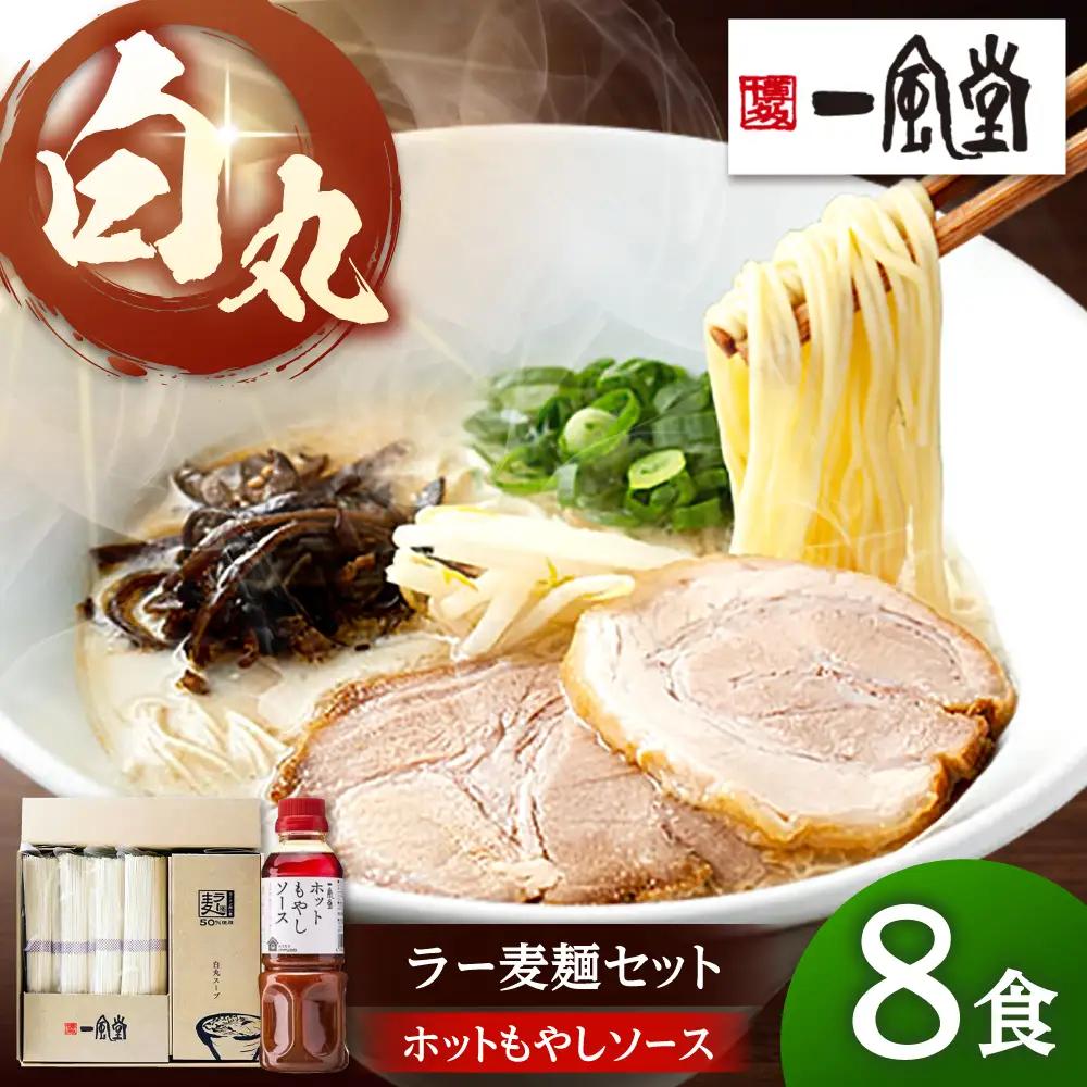ラー麦使用「一風堂」とんこつラーメン 白丸合計８食【ホットもやしソース付き】 桂川町/博多漁師の里 [ADCA005] 