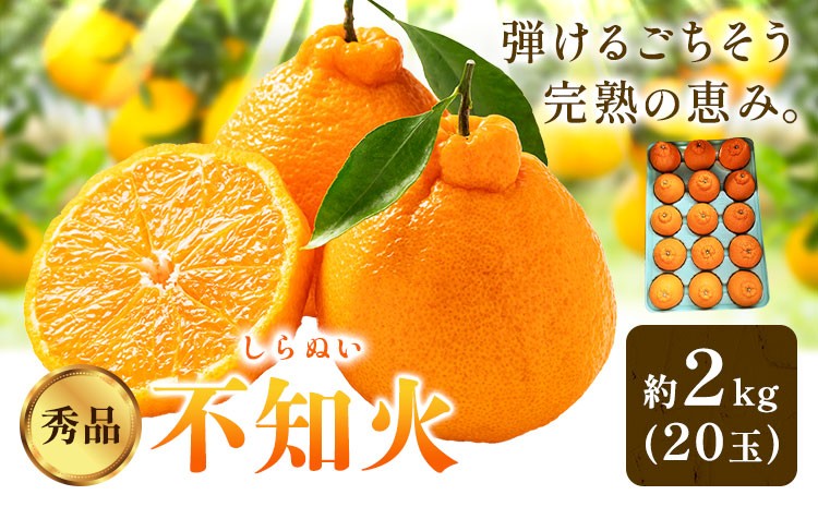 
                  柑橘 秀品 不知火 ( デコポン ) と同品種 約2kg（ 20玉 ） 垣内農園 《2027年2月上旬-2月下旬頃出荷》和歌山県 日高川町 果物 フルーツ しらぬい デコポン と同品種
                